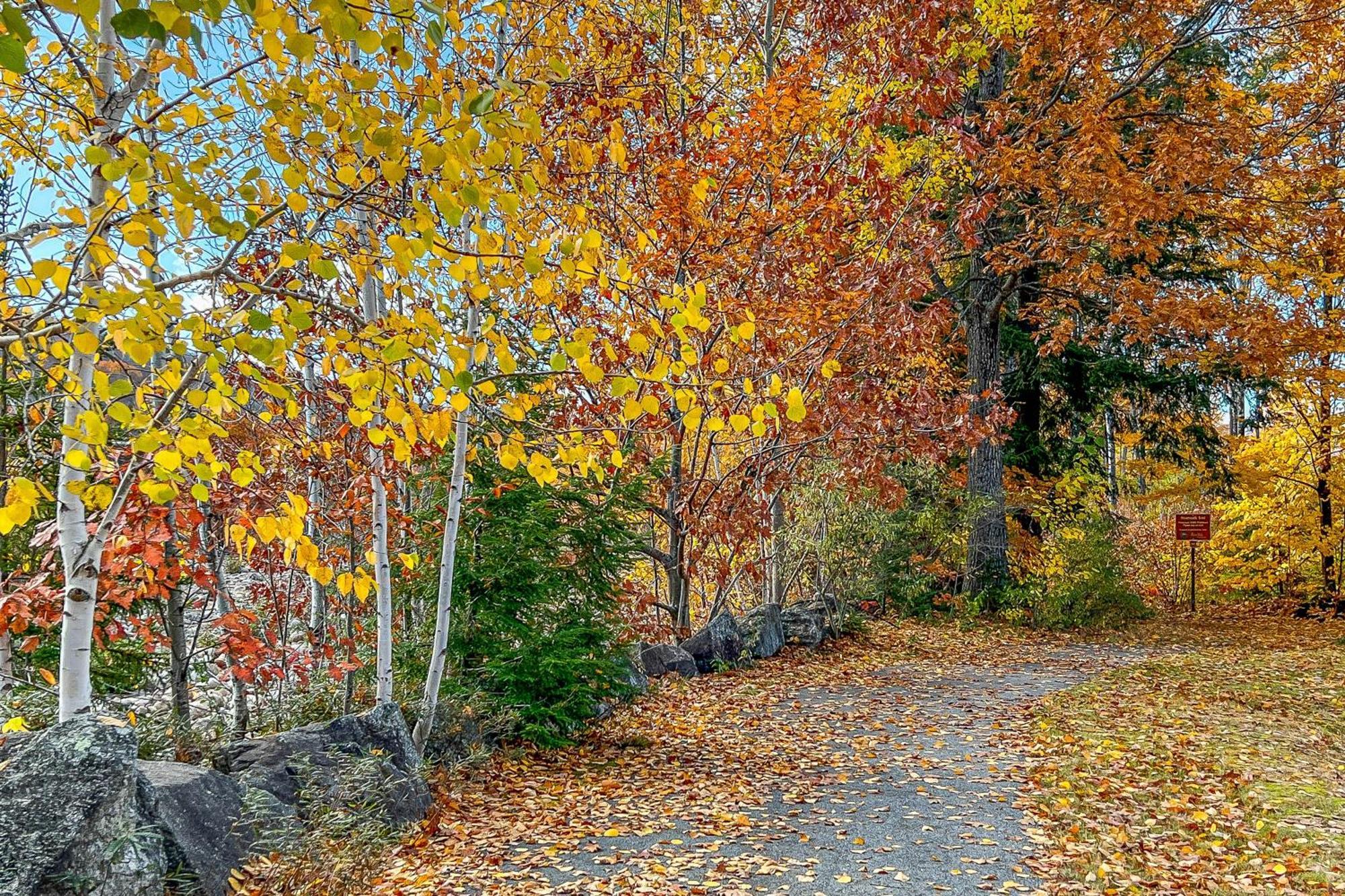 Autumn Colors Condo, Unit 215 Линкольн Экстерьер фото